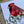 Load image into Gallery viewer, CARDINAL Personalised Bird Birthday Card