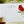 Load image into Gallery viewer, Cardinal Personalised Flat Notecards Set Of 10