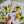 Load image into Gallery viewer, LEMON & LAVENDER cards set of 4