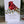 Load image into Gallery viewer, CARDINAL Personalised Bird Birthday Card