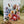 Load image into Gallery viewer, AUSTRALIAN FLORALS Card Set - Birthday - Thank You - Thinking of You - With Love - With Sympathy - Merry Christmas - Congratulations