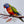Load image into Gallery viewer, RAINBOW LORIKEET Personalised Australian Birthday Card