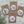 Load image into Gallery viewer, Rose Mint VINTAGE FLORALS Large Magnets - Set B Rose Mint
