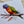 Load image into Gallery viewer, AUSTRALIAN RAINBOW LORIKEETS Personalised Flat Notecards Set Of 10
