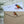 Load image into Gallery viewer, AUSTRALIAN RAINBOW LORIKEET Personalised Writing Paper Set of 20