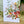 Load image into Gallery viewer, AUSTRALIAN FLORALS greeting card - Card A