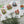 Load image into Gallery viewer, The Mouse's House Magnetic Bookmarks