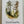Load image into Gallery viewer, The Woods card - With Deepest Sympathy Card