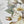 Load image into Gallery viewer, GARDENIA Mothers Day card