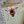 Load image into Gallery viewer, Sunflower and Bee & Honey MAGNETIC BOOKMARKS
