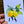 Load image into Gallery viewer, LEMON & LAVENDER cards set of 4