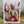 Load image into Gallery viewer, AUSTRALIAN FLORALS with borders Blank cards set of 4