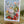 Load image into Gallery viewer, AUSTRALIAN FLORALS with borders Blank cards set of 4