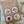 Load image into Gallery viewer, AUSTRALIAN Floral COLLECTION Large Magnets Set of 4 - Set C
