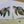 Load image into Gallery viewer, Green Sea Turtles Writing Paper Set (Non-Personalised)