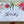 Load image into Gallery viewer, AUSTRALIAN NATIVE FLORA Thank You greeting card