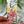 Load image into Gallery viewer, Australian Flora Bookmarks set of 3