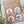 Load image into Gallery viewer, AUSTRALIAN Floral COLLECTION Large Magnets Set of 4 - Set A
