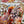 Load image into Gallery viewer, AUSTRALIAN FLORALS greeting card - Card I