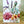 Load image into Gallery viewer, AUSTRALIAN FLORALS greeting card - Card F