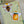 Load image into Gallery viewer, Sunflower and Bee & Honey MAGNETIC BOOKMARKS