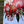 Load image into Gallery viewer, AUSTRALIAN Red FLORAL Personalised Christmas Cards - 4 assorted designs