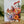 Load image into Gallery viewer, AUSTRALIAN FLORALS Card Set - Birthday - Thank You - Thinking of You - With Love - With Sympathy - Merry Christmas - Congratulations