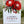 Load image into Gallery viewer, AUSTRALIAN Red FLORAL Personalised Christmas Cards - 4 assorted designs