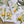 Load image into Gallery viewer, LEMON Blossom cards set of 4 Regular or Mini