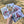Load image into Gallery viewer, AUSTRALIAN FLORALS Single Stems Blank cards set of 4 - Set B