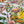 Load image into Gallery viewer, AUSTRALIAN FLORALS greeting card - Card J