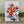 Load image into Gallery viewer, AUSTRALIAN FLORAL Blank greeting card - Single Stems card 11 Red Flowering Gum