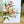 Load image into Gallery viewer, AUSTRALIAN FLORALS greeting card - Card D