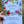 Load image into Gallery viewer, AUSTRALIAN Floral Psalm 91 Writing set 20 pages 10 envelopes
