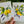 Load image into Gallery viewer, LEMON & LAVENDER cards set of 4