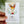 Load image into Gallery viewer, Austalian Animals Magnetic Bookmarks 4 designs - Koala - Wombat - Kangaroo - Platypus