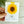 Load image into Gallery viewer, Sunflower and Bee & Honey MAGNETIC BOOKMARKS