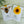 Load image into Gallery viewer, Sunflower and Bee & Honey MAGNETIC BOOKMARKS