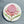 Load image into Gallery viewer, AUSTRALIAN COLLECTION Large Magnets Waratah, Protea, Callistemon