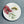 Load image into Gallery viewer, AUSTRALIAN COLLECTION Large Magnets Waratah, Protea, Callistemon