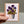 Load image into Gallery viewer, Mini greeting Cards - Flower pots in 4 designs (Set A)