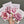 Load image into Gallery viewer, Blush Florals greeting cards set of 4