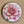Load image into Gallery viewer, BLUSH FLORALS Large Magnets Hydrangea, Tulip, Protea, Dahlia