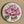 Load image into Gallery viewer, BLUSH FLORALS Large Magnets Hydrangea, Tulip, Protea, Dahlia