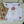 Load image into Gallery viewer, BLUSH FLORALS Writing Paper Set (Non-Personalised)