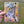 Load image into Gallery viewer, Australian Watercolour Kangaroo on Australian Flora greeting card