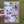 Load image into Gallery viewer, Australian Watercolour Wombat on Australian Flora greeting card