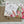 Load image into Gallery viewer, AUSTRALIAN BIRDS & FLORA CHRISTMAS Cards set of 4