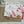 Load image into Gallery viewer, AUSTRALIAN BIRDS & FLORA CHRISTMAS Cards set of 4