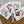 Load image into Gallery viewer, Orchid cards set of 4